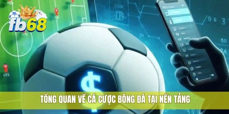 Tổng quan về cá cược bóng đá tại nền tảng